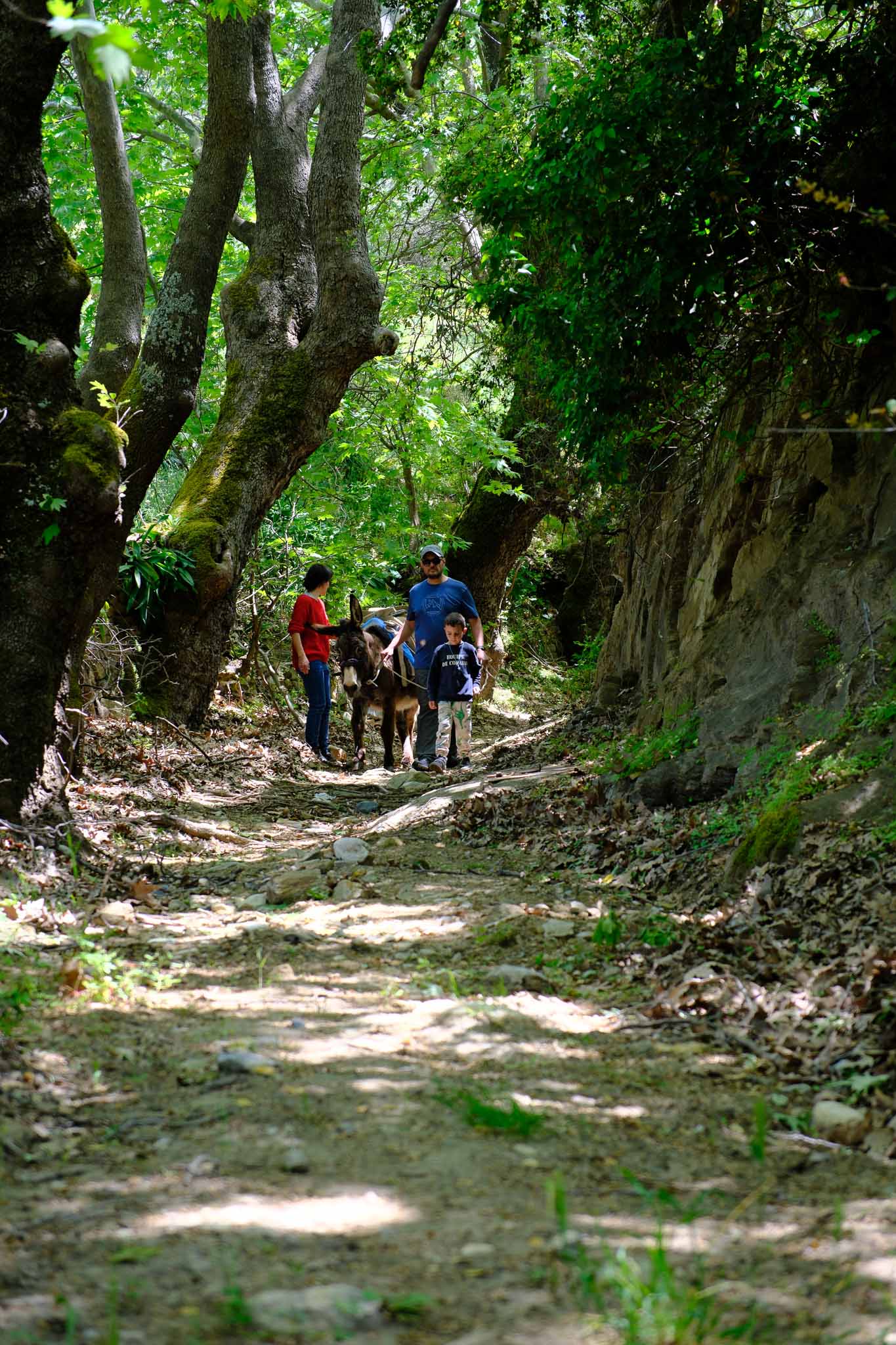 Family Nature Adventure